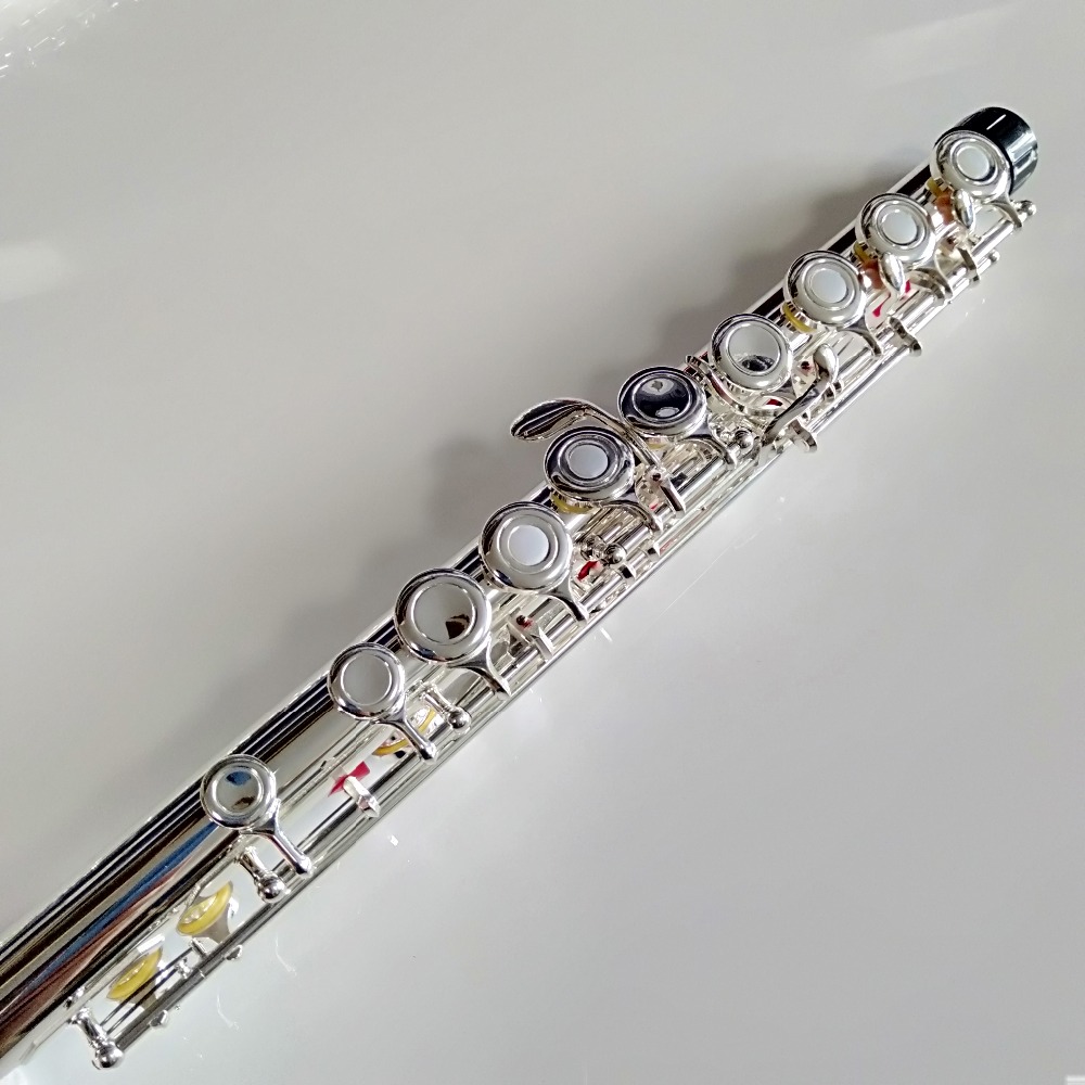 Flûte professionnelle japonais - Musical Instrument Japan avis et prix