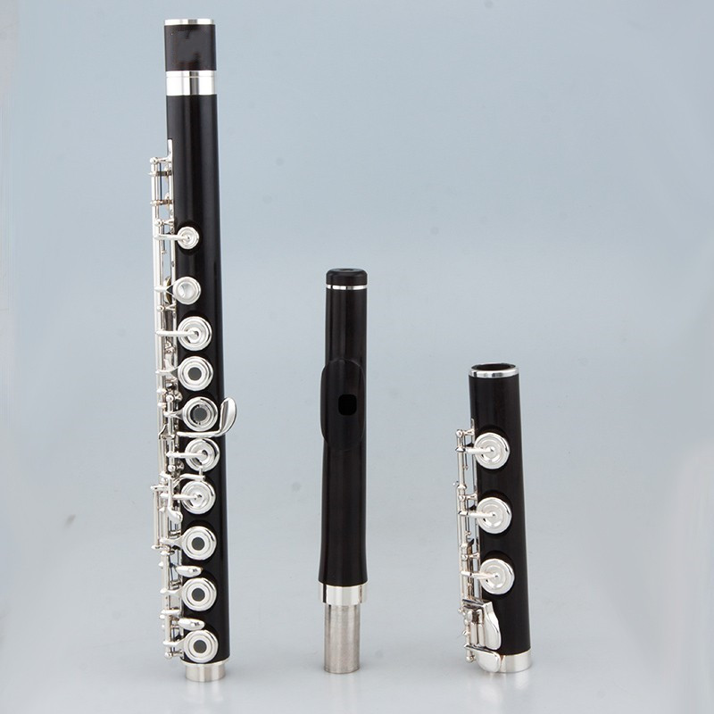 Flûte professionnelle japonais - Musical Instrument Japan avis et prix