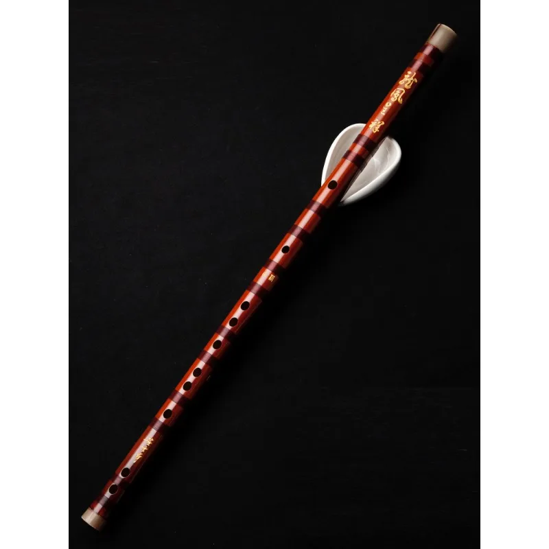 Flûte professionnelle, flûte h - Musical Instrument Ending In A avis et prix