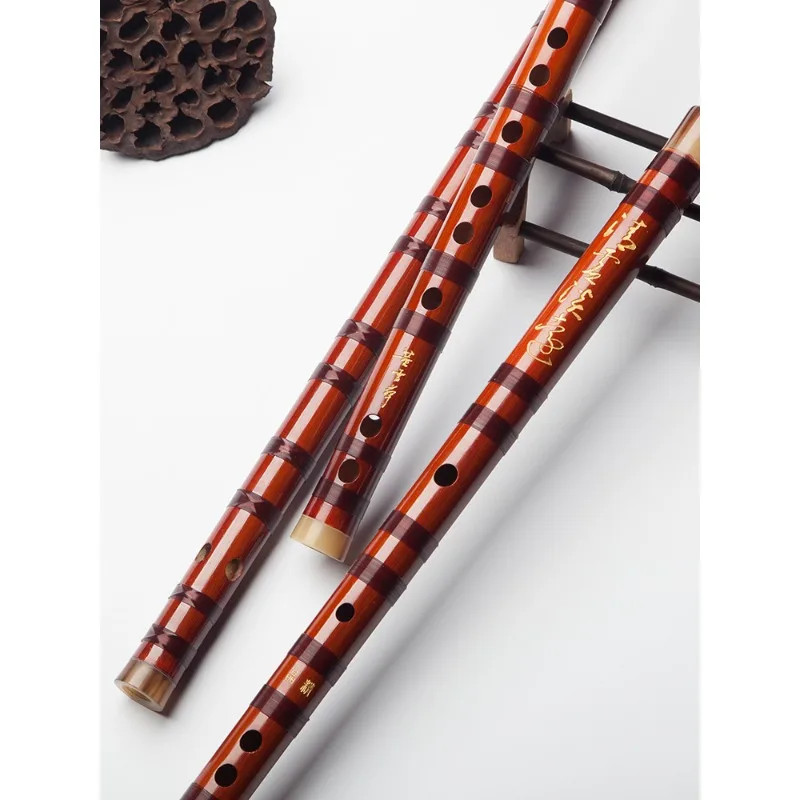 Flûte professionnelle, flûte h - Musical Instrument Ending In A avis et prix