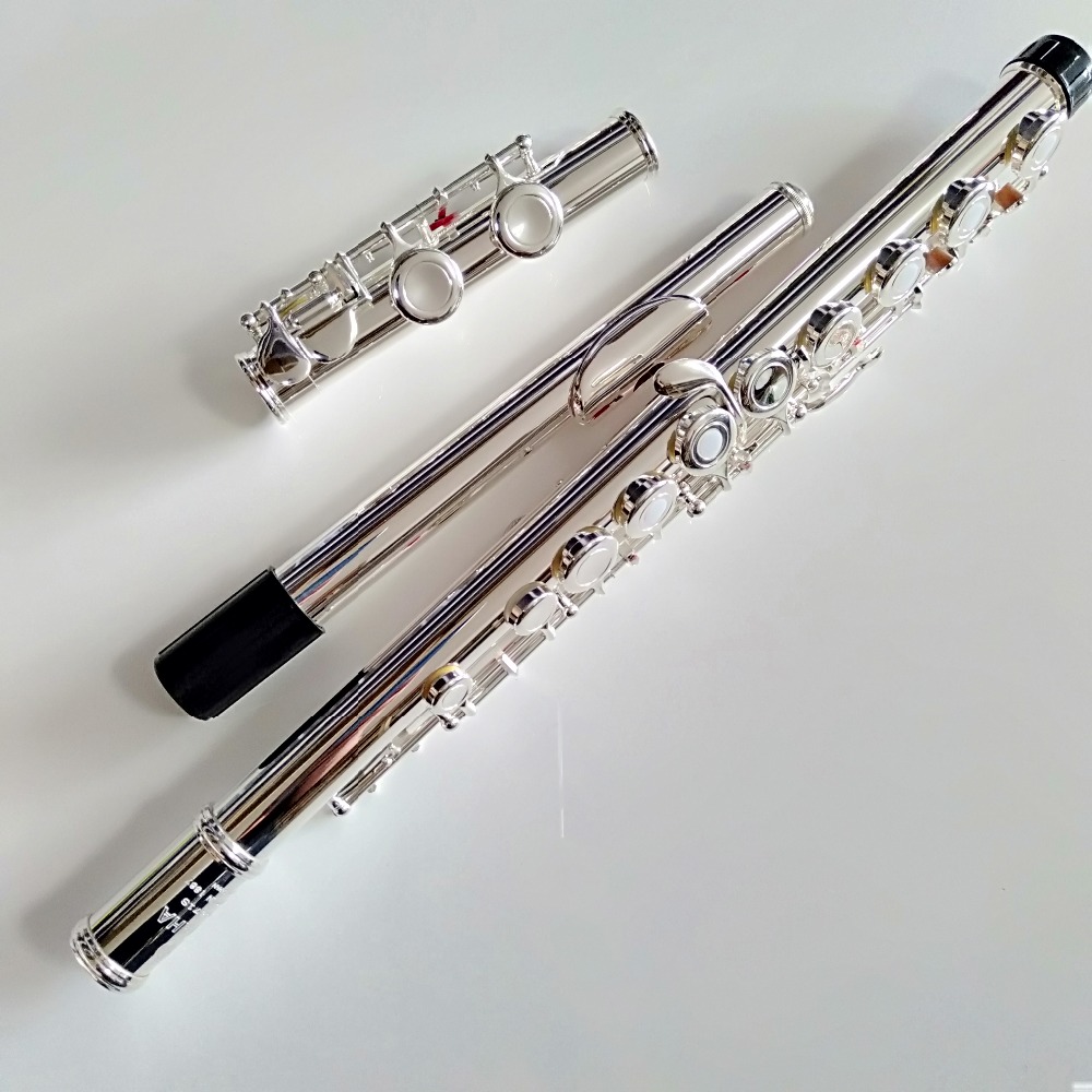 Top Japon Flûte FL-471 Profess - Musical Instrument Japan avis et prix