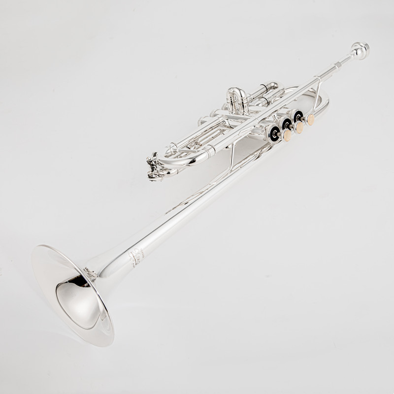 Trompent professionnelle en la - Musical Instrument Japan avis et prix