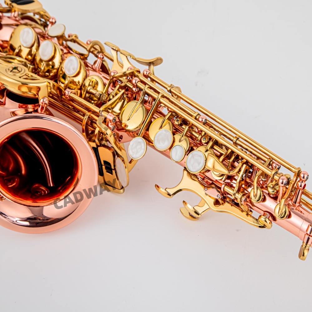 Saxophone soprano japonais en  - Musical Instrument Japan avis et prix