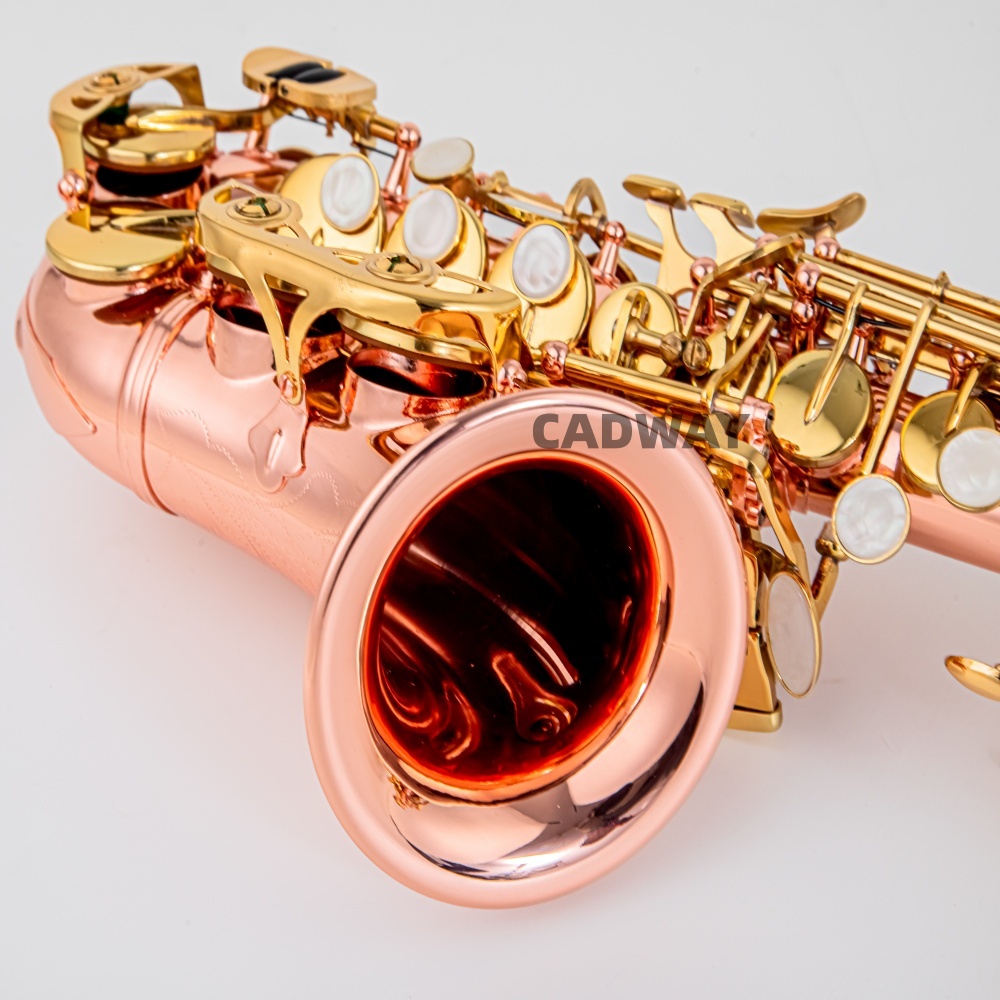 Saxophone soprano japonais en  - Musical Instrument Japan avis et prix